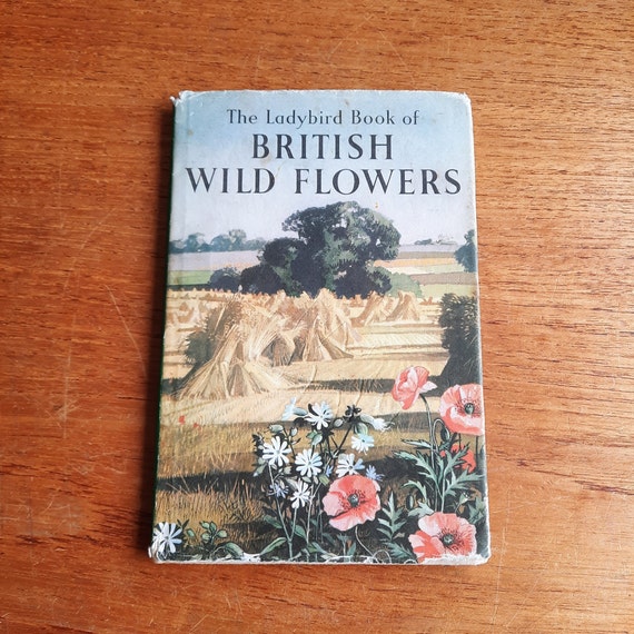 Ladybird book of British Wild Flowers | 1960s vintage book (series 536) with intact dust jacket, in great condition, best nostalgic gift