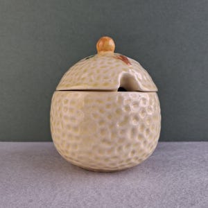 May include: A cream-coloured ceramic sugar bowl with a textured surface. The lid has a small knob and a spoon slot. The bowl is on a grey surface with a green background.