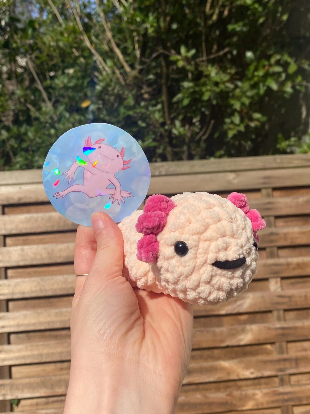 Sticker Plush Axolotl Set Sticker + Plush - Etsy