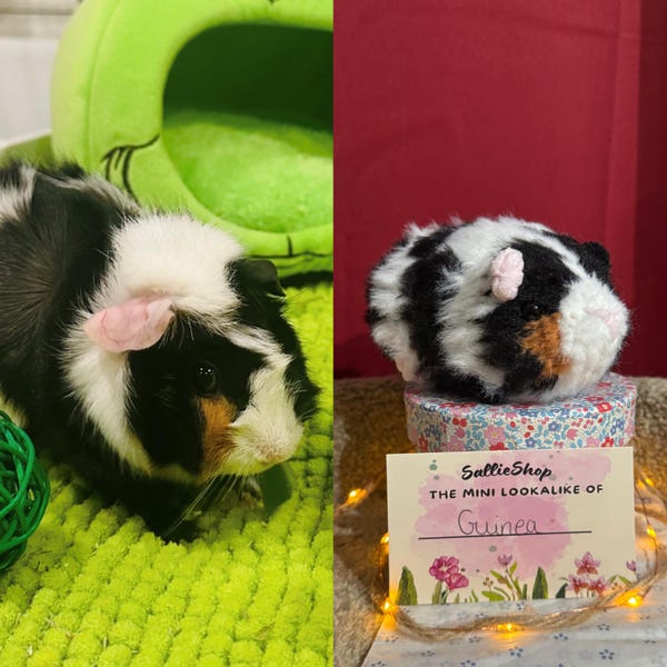 Personalized Crochet Guinea Pig Plush Toy