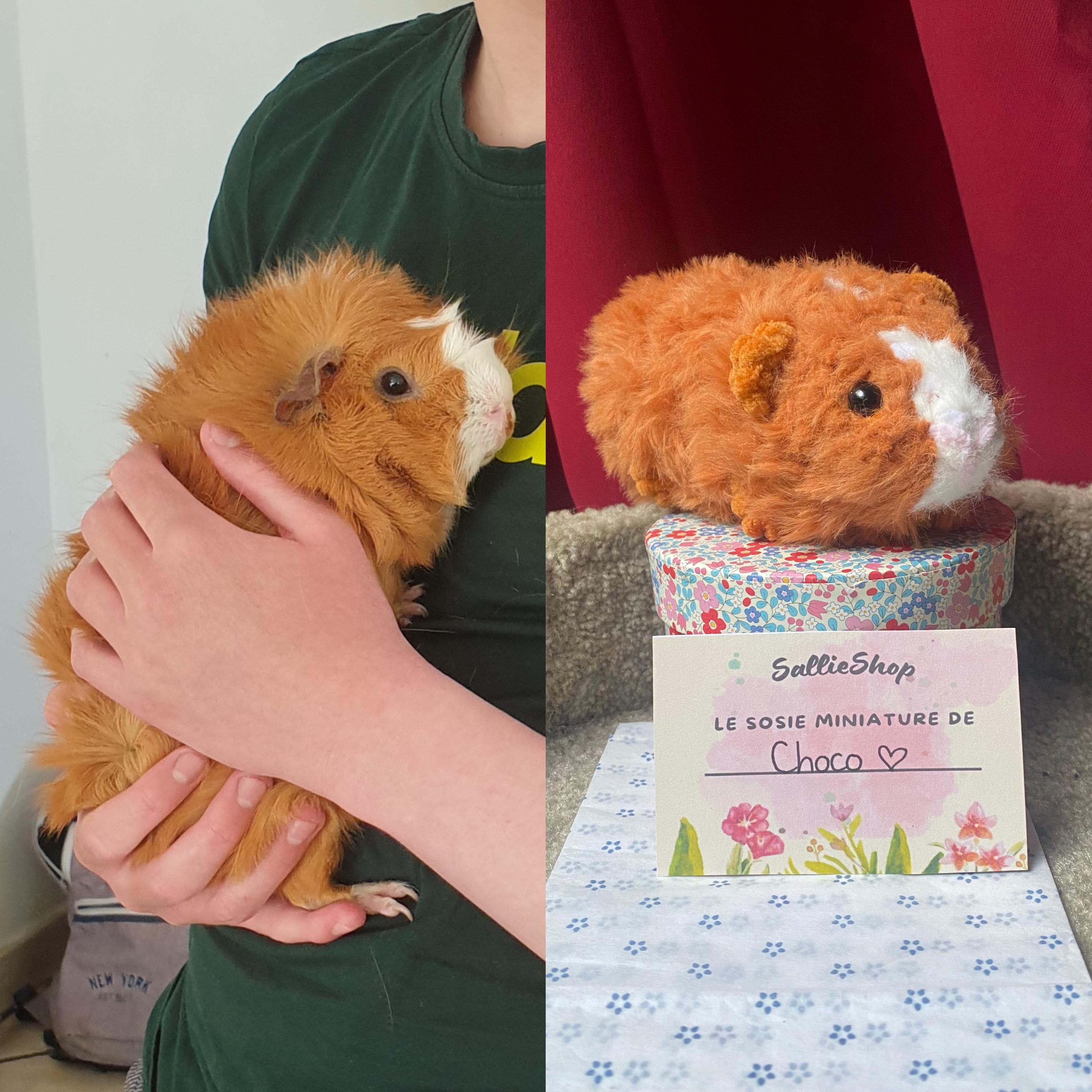 Custom Crochet Guinea Pig