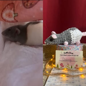 Personalized Crochet Rat Plush