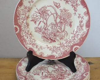 6 platos de postre monocromos Sarreguemines Minton, sello verde