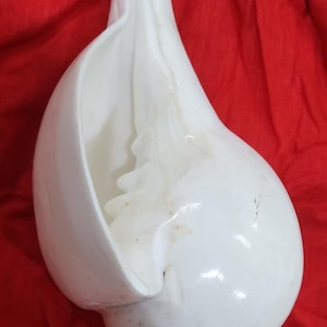 5inch/14cm Sacred Blowing Shankh, Natural Conch Shell for Pooja, Hindu Temple Shankh, Handmade in Vrindavan, Auspicious Vedic Shankha