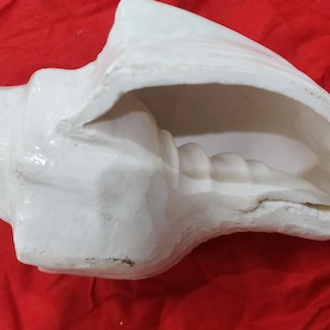 Sacred Pooja Shankh, Natural Conch Shell, Hindu Temple Shankh, Blowing Shankh for Rituals, Handmade in Vrindavan