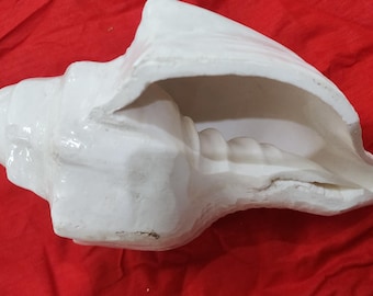 Sacred Pooja Shankh, Natural Conch Shell, Hindu Temple Shankh, Blowing Shankh for Rituals, Handmade in Vrindavan