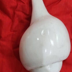 Sacred Blowing Shankh 5 inch 13 cm, Natural Conch Shell for Pooja, Hindu Temple Shankh, Spiritual Shankha, Handmade in Vrindavan