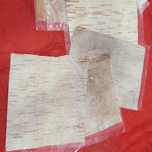 Könnte beinhalten: Vier Blätter Birkenrinde-Papier, jedes mit einem anderen Muster, werden auf einer roten Oberfläche angezeigt. Das Papier ist durch eine klare Plastikfolie geschützt.