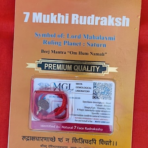 7 Mukhi  Rudraksha | Original Sacred Bead | Divine Energy & Blessings | Handmade in Vrindavan