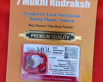 7 Mukhi Rudraksha | Originele heilige kraal | Goddelijke energie en zegeningen | Handgemaakt in Vrindavan