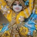 brij krishna vrindavan