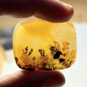 May include: A yellow agate cabochon with a dendritic pattern of black and brown inclusions. The agate is translucent and has a smooth, polished surface.