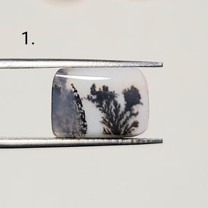 Dendritic Agate Cabochon. Natural Scenic Dendritic Agate Loose Gemstone
