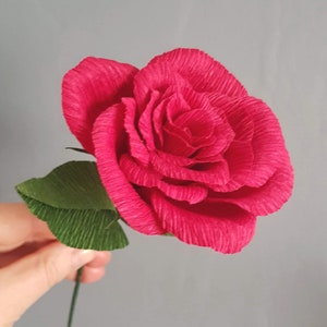 Rosa: fiore di carta crespa. Fatto a mano in Scozia.