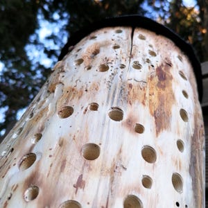 Handmade wooden insect hotel wild bee nesting aid natural rustic insect house - marsh bloodeye, functional and decorative