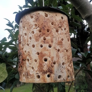 Special stucco natural rustic natural wood insect hotel wild bee nesting aid insect house handmade - functional and decorative