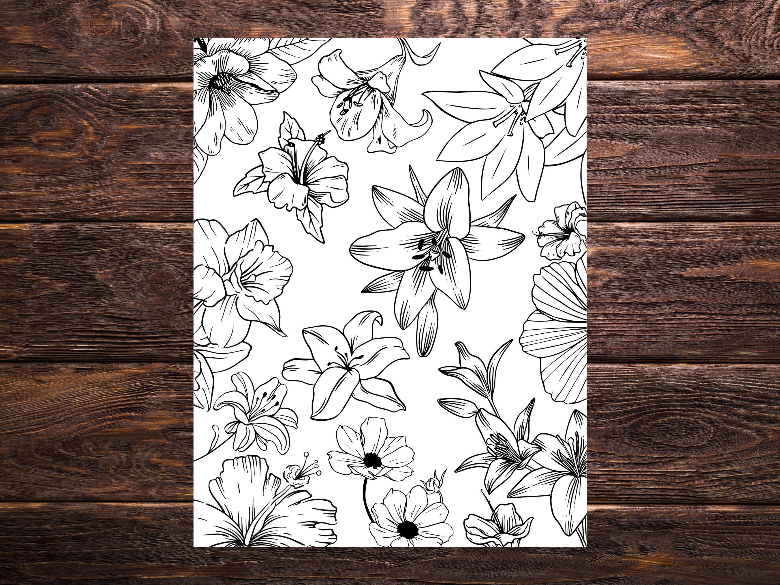 10 Pack Printable Botanical Coloring Pages, Floral Coloring Book Pages ...