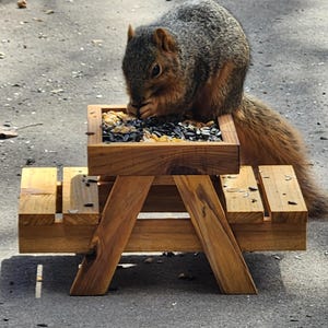 May include: A brown squirrel eating from a wooden picnic table-style feeder filled with seeds. The feeder is made of light brown wood and sits on a gray surface. The squirrel has gray and brown fur.