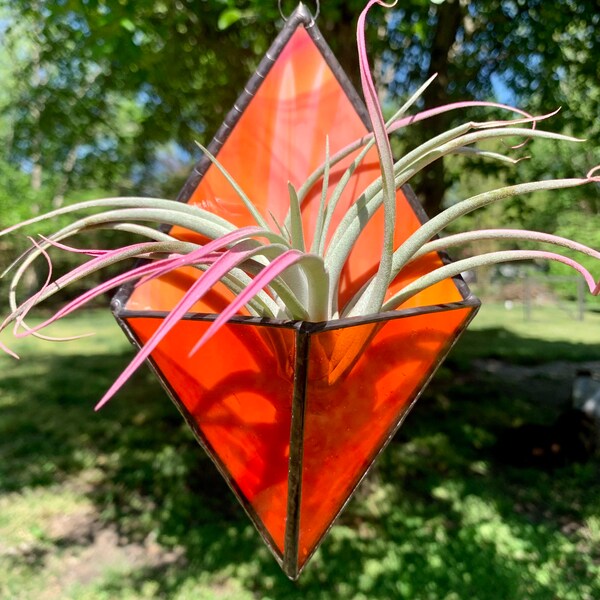 Stained Glass Air Plant Hanger Etsy