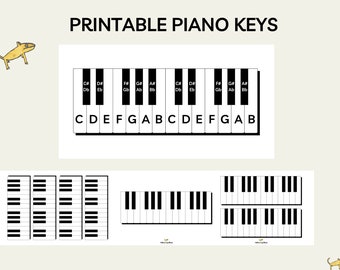 Printable Piano Keys, Music Education, Music Note Value, Music Classroom, Music Theory Poster, Montessori Poster, piano room