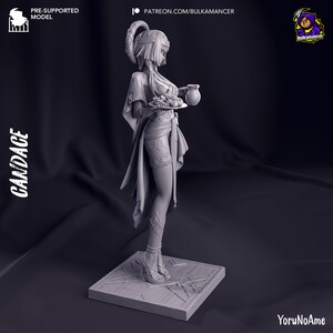 May include: A gray 3D-printed figurine of a woman holding a plate of fruit and a jug. The figurine is standing on a square base with geometric patterns. The text "CANDACE" is on the left side, and "PRE-SUPPORTED MODEL" is at the top.
