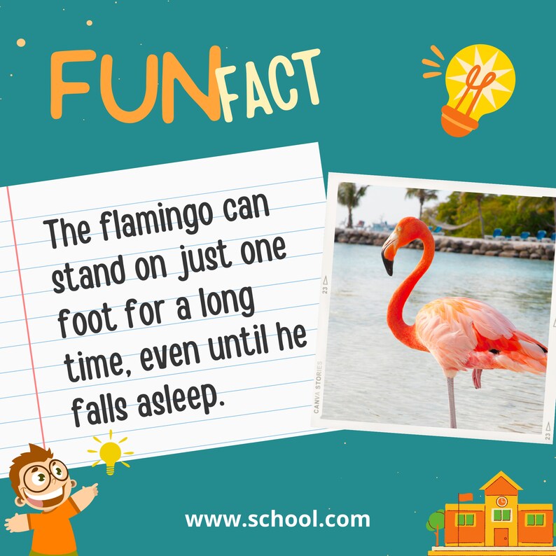 Daycare Canva Template Educational Trivia Canva Template Etsy