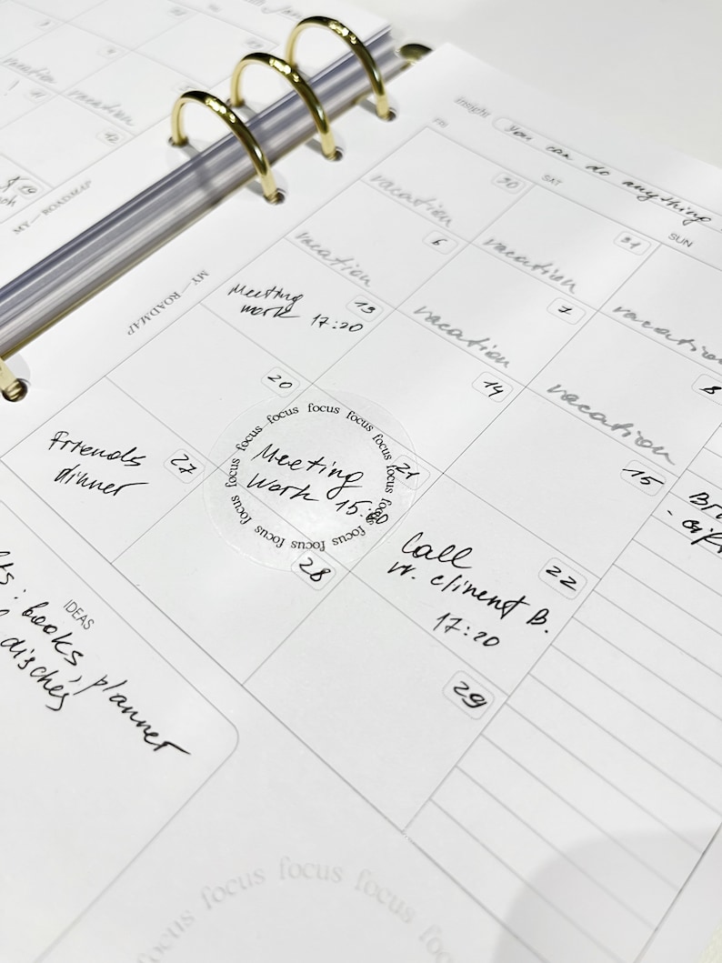 May include: A close-up of a white planner with a gold binder. The planner has a weekly layout with dates and days of the week. There are several handwritten appointments and notes, including "Meeting Work 15:20", "Call w. Client B. 17:20", and "Friends Dinner".
