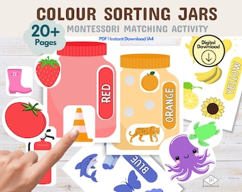 Montessori Colour Sorting Activity for Toddlers, Learning Matching Colours, Learning Resources Preschool Kindergarten Worksheets Homeschool