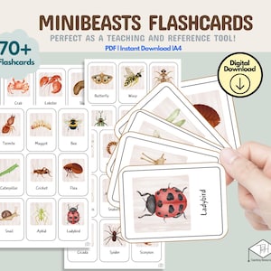 Pacchetto didattico Minibeasts per bambini Flashcards - Materiali Montessori, stampe educative, schede flash per bambini, attività di abbinamento, pianeti