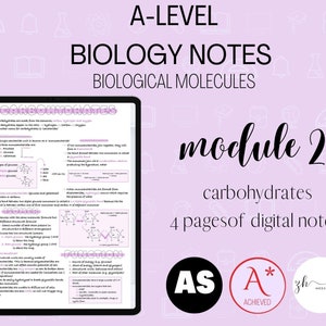 A Level Biology Notes: Biological Molecules - Carbohydrates