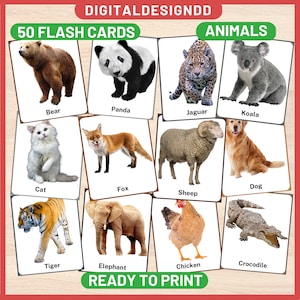 Animals Flash Cards: Montessori Preschool Education (PDF)