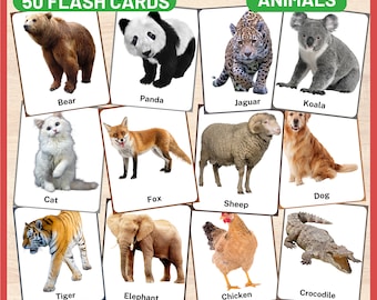 Printable Animal Flash Cards for Kids | Montessori Learning Cards | Preschool & Toddler Educational PDF
