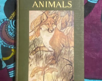 動物の本 | アンティークハードカバー本、1934年版