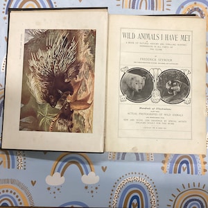 Antique Illustrated Book: Wild Animals I Have Met, 1901 Hardcover