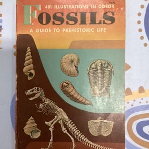 1962 FOSSILI: UNA GUIDA ALLA VITA PREISTORICA di Frank Rhodes, Herbert Zim, Paul Shaffer, paleontologia, Paleozoico, Mesozoico, Cenozoico -