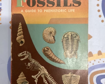 1962 Fossils Guide: Prehistoric Life, Golden Nature Guide