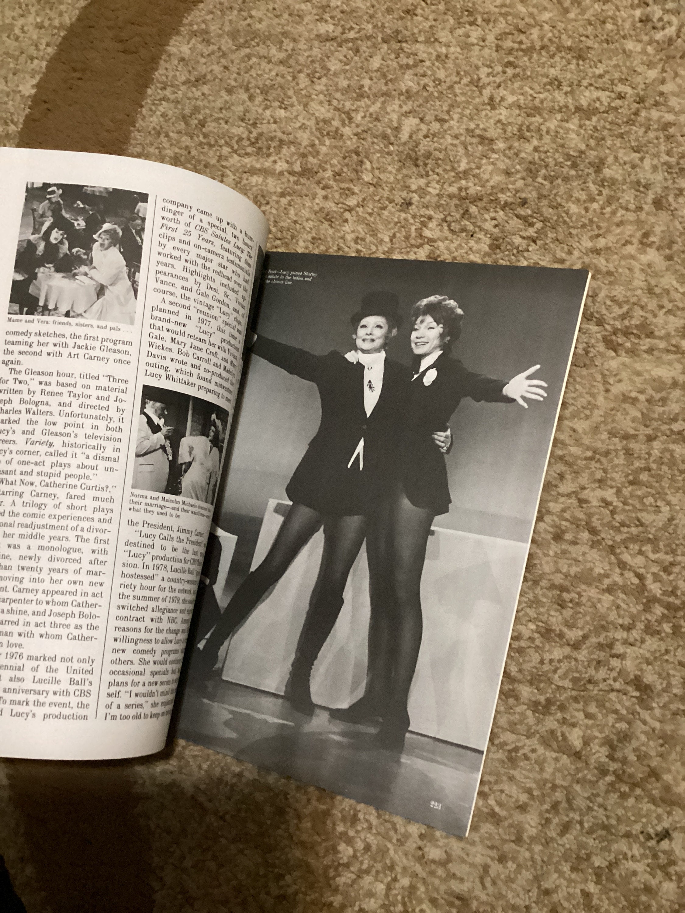 Vintage Loving Lucy Illustrated Tribute Book: Lucille Ball, 1980