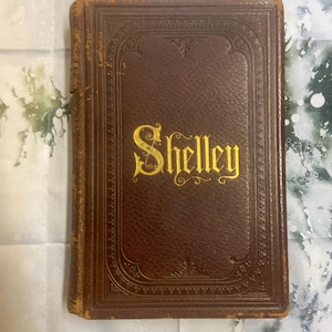 The Poetical Works of Percy Bysshe Shelley Antique Rare First US Edition Leatherbound  Bk 1839 Edited By Mary Shelley Fairly vg In 1 Volume