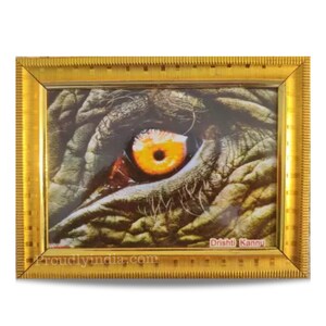 Puede incluir: Una impresi&oacute;n enmarcada de un ojo de elefante con un marco dorado. El ojo es un primer plano y el iris es de color naranja brillante. El texto "Dristhi Kanny" est&aacute; impreso en la esquina inferior derecha de la impresi&oacute;n.