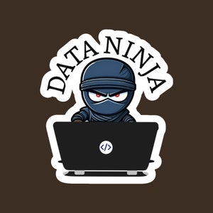 Pegatina de Data Ninja, regalo para analista de datos, pegatina de científico de datos, reina de los datos, mujer en ciencia de datos, regalo de graduación de ciencia de datos o ingenieros