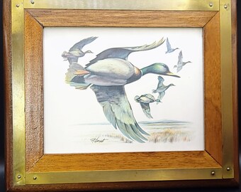 Set of 4. RF Harnett. Art Print Mallard Ducks, Frames with Brass Trim, Handmade in Italy