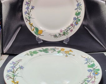 2 Woodhill, 10.5 inch Dinner Plates, 1960's, by Citation, Excellent Condition