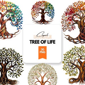 Tree of Life Clipart PNG Bundle: Celtic Watercolor Designs (30 PNGs)