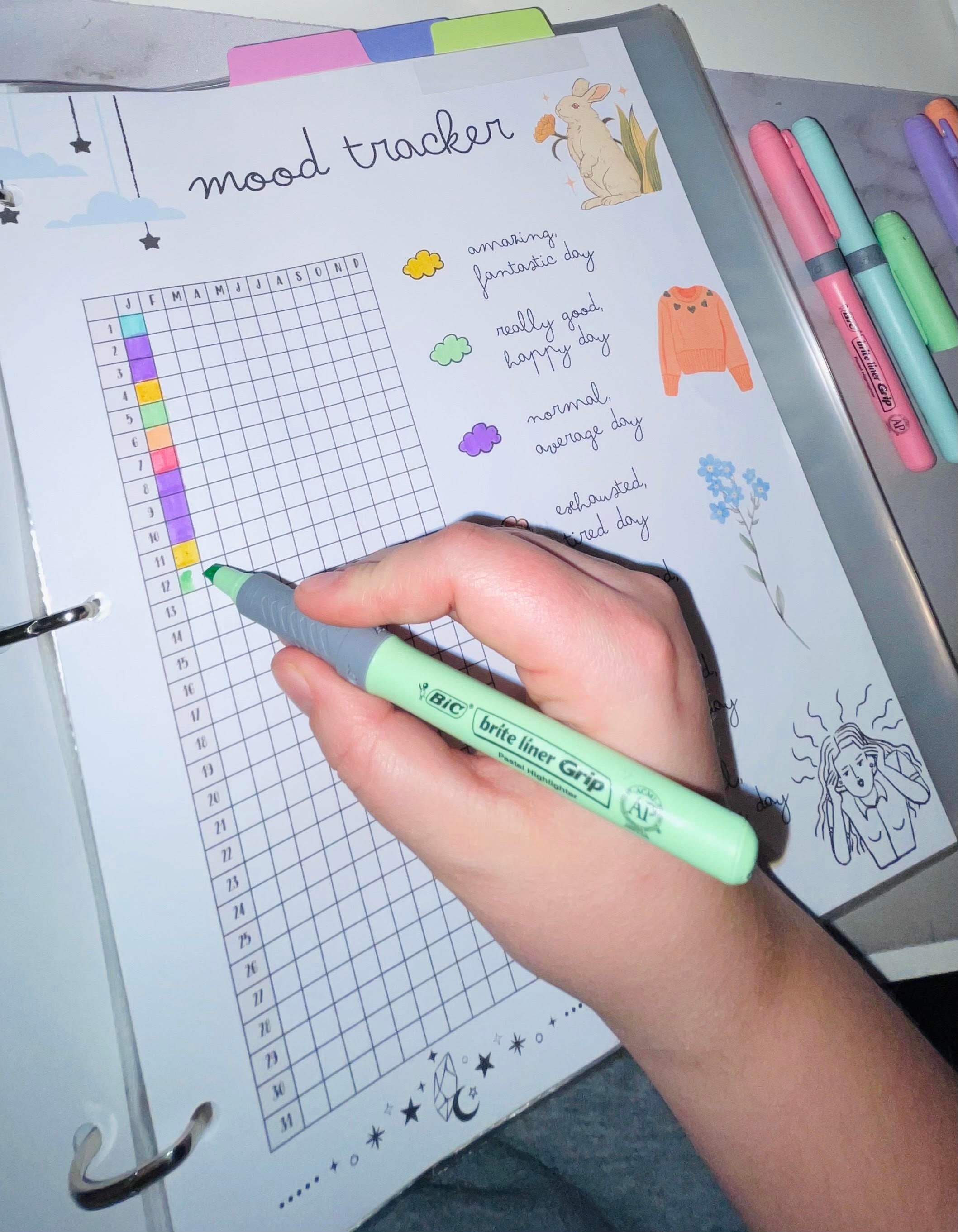 2024 PRINTABLE Bullet Binder/journal Cottagecore Fairycore Aesthetic ...