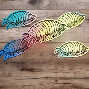 Isopod Roly Poly Isopod Shirt, Isopod Grafik-T-Shirt, Käfer-Enthusiasten-T-Shirt, Käfer-Meeresleben-Liebhaber Geschenk, Naturbiologie-Enthusiast