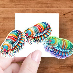 Isópodo colorido del estilo del arte chino, camiseta colorida del arte del isópodo boho, taza de isópodo, taza Roly Poly, regalo del amante de la vida marina, criatura del océano