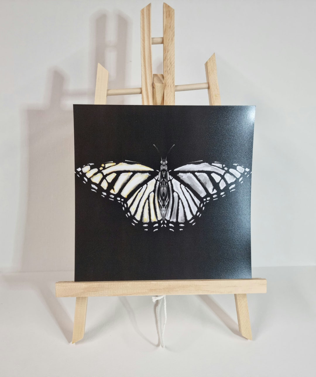 Butterfly Xray Wall Art, Home Decor, Painting, Minimalist, Art Prints