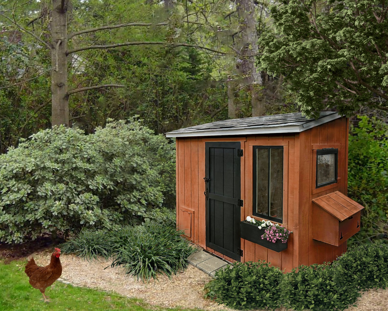 4x8 Chicken Coop Plans PDF Shed Chicken Coop With Run, Walk in Chicken