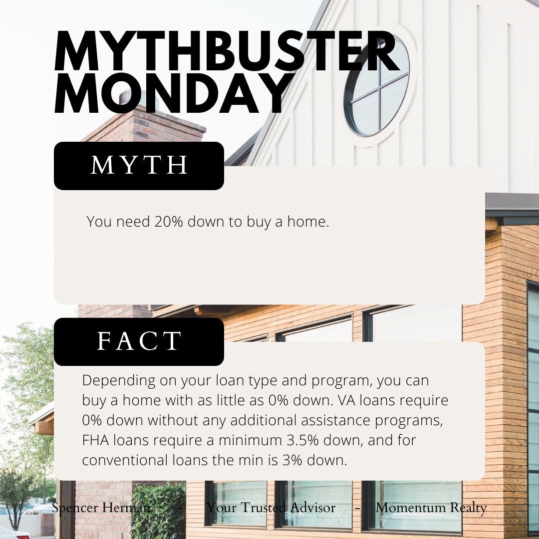 Myth Buster Example Flyer Mythbuster Instagram Template - Etsy
