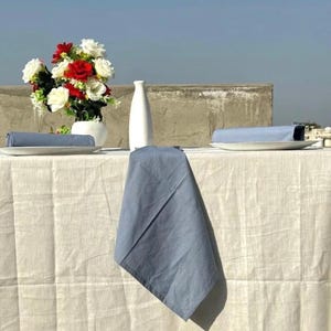 Confezione da 200 tovaglioli da tavola per tutti i giorni color blu polvere, in 100% cotone, riutilizzabili per la cucina, tovaglioli in stoffa a zero sprechi.